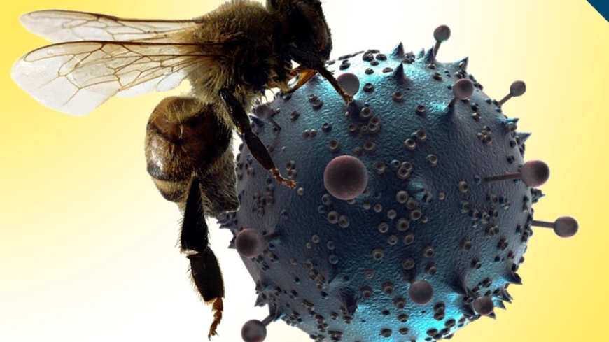 Covid-19, gli apicoltori possono ritirare la merce Di Apicoltura Laterza